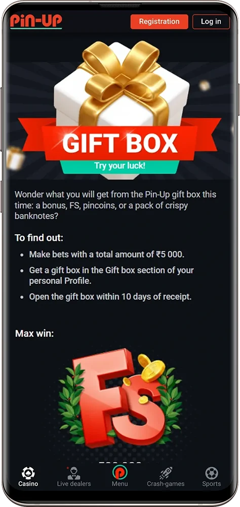 Screenshot of the Pin-Up app bonus page