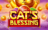 Cat’s blessing