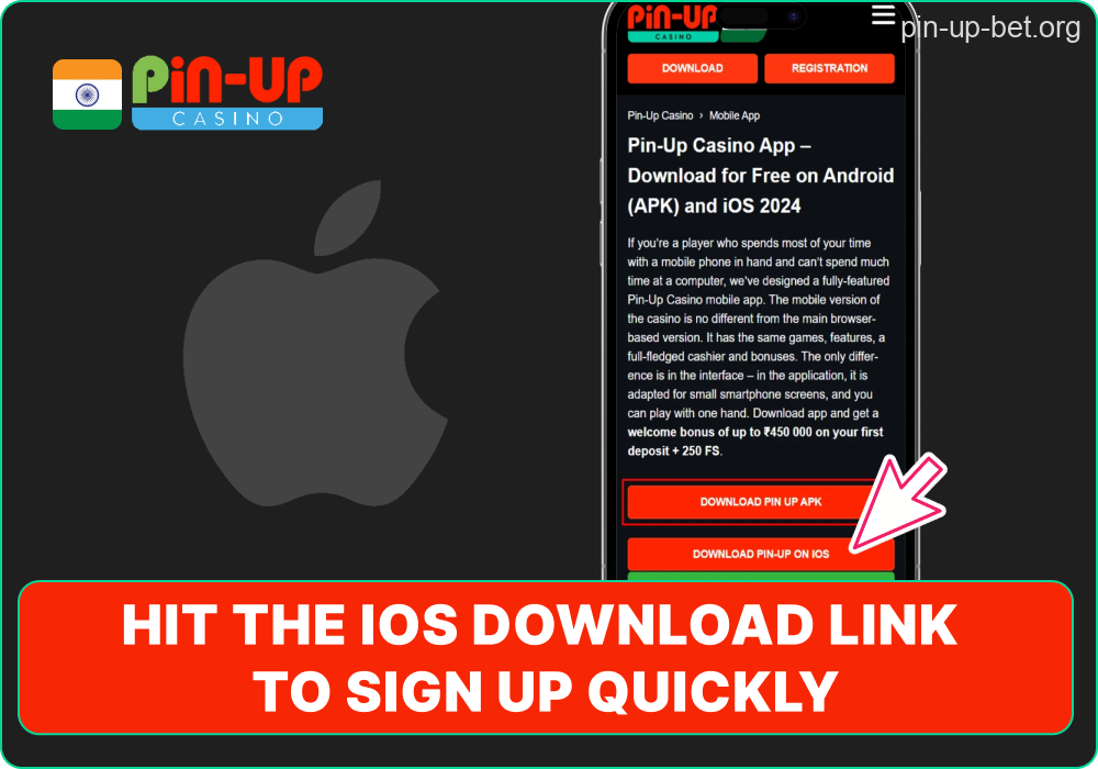 Pin-Up fast iOS access step
